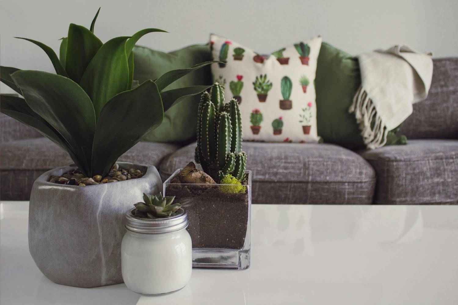 Transform Your Space: What I’ve Actually Learned About Interior Design in Dwarka